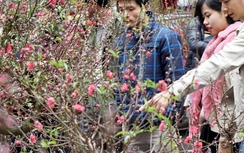 Tin mới nhất về thời tiết Tết Đinh Dậu 2017