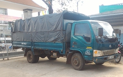 Tháng củ mật, thuê xe tải đi trộm bò