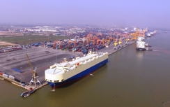 Hiệp hội tính kiện Hải Phòng vì thu phí cảng biển