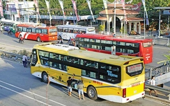 Xe dù, bến cóc công khai tái diễn tại TP.HCM