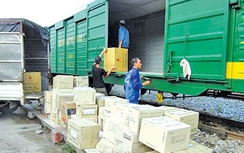 Chi phí cao, chủ hàng khó mặn mà đường sắt