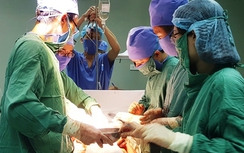 Nghệ An: Can trâu điên húc nhau, người đàn ông tử vong