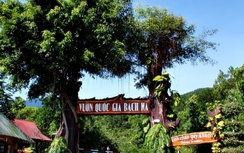 Du lịch khám phá Vườn Quốc gia Bạch Mã