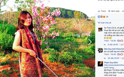 Bẻ hoa anh đào có gì đáng chỉ trích?