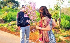 Báo cáo tỉnh vụ PGĐ Sở "bẻ hoa anh đào" trước 10/3