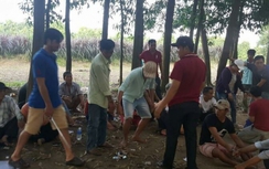 Bình Thuận: Triệt phá nhiều tụ điểm đá gà ăn tiền, xóc đĩa