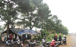 Người đàn ông xăm hình chim sẻ chết gục trong quán nước