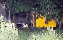 Sau mâu thuẫn, chồng treo cổ tự tử