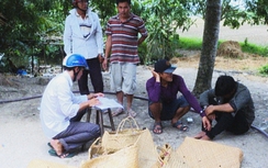 Đột kích trường gà giữa đồng có người canh gác