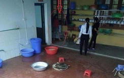 Dốc đầu trẻ vào máy vặt lông gà: Sở GD&ĐT Lào Cai nói gì?