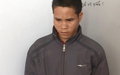 Dụ ra đồi hái mận để xâm hại tình dục bé 5 tuổi