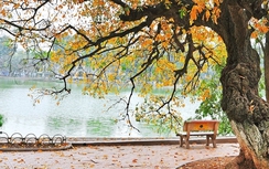 Dự báo thời tiết 10 ngày tới (7/4 đến 11/4)