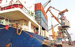 Cổ phiếu vận tải biển không mua nổi ly trà đá