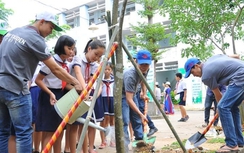 Phát động trồng cây xanh tại các trường tiểu học trên cả nước