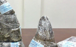 Bắt lô sừng tê giác 6 tỷ vừa xuống sân bay Tân Sơn Nhất