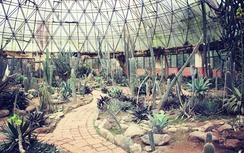 Nghỉ lễ 30/4-1/5: Những điểm vui chơi tại Thủ đô Hà Nội