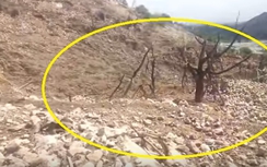 Video cảnh tượng khủng khiếp nơi Mỹ thả “bom Mẹ” ở Afghanistan