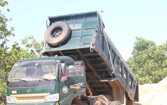 Quảng Trị: Vội vàng làm dự án trồng dứa để “cát tặc” lộng hành