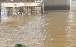 Thi thể bé trai 14 tuổi nổi trên sông Đồng Nai