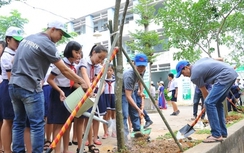 Bộ GTVT yêu cầu bảo vệ cây xanh, nguồn nước vệ sinh môi trường