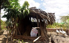 Rủ bé gái 12 tuổi quen qua mạng ra chòi vịt để "quan hệ"