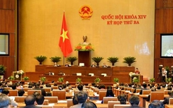 ĐBQH nói gì về Chính phủ kiến tạo, hành động?