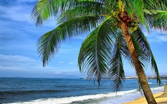 10 bãi biển đẹp, hút khách mùa hè