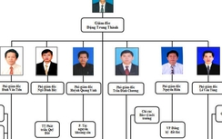 Phó Thủ tướng yêu cầu kiểm điểm vụ 1 sở 6 phó giám đốc