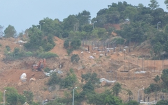 Đừng “ăn” vào rừng đặc dụng