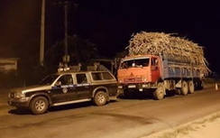 Bắt xe quá tải, thanh tra giao thông bị nhắn tin dọa "tông chết"