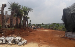 Nhiều cán bộ quản lý rừng ở Gia Lai chiếm rừng làm của riêng