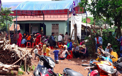 Cây đổ đè 5 người thương vong ở Gia Lai