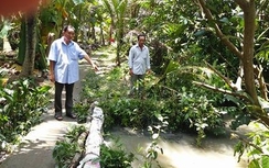 Phát hiện thi thể phụ nữ giữa bụi chuối, quần áo xộc xệch