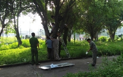 TP.HCM: Phát hiện người đàn ông treo cổ chết bất thường trong công viên