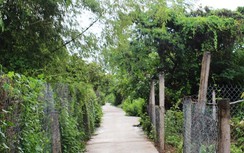 Người dân Giồng Trôm có đường bê tông mới
