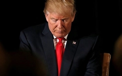 Thêm 1 tòa án Mỹ chống lệnh cấm di trú của ông Trump