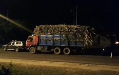 Triệu tập kẻ doạ tông chết TTGT ở Gia Lai