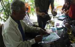 Lăng mộ vợ vua Tự Đức bị san ủi: Chính quyền muốn di dời