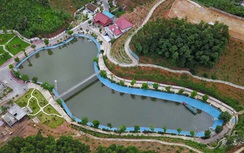 Đồng tiền bất chính hay chuyện "giàu lên từ nuôi lợn, lái xe ôm"