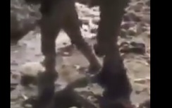 Xuất hiện video binh sỹ Thổ Nhĩ Kỳ chặt đầu phiến quân người Kurd