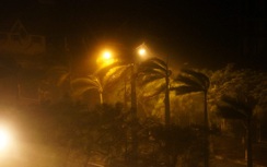 Bão số 2 quần thảo Nghệ An, quật ngã nhiều cây xanh, cột điện