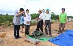 Quyết định di dời lăng mộ vợ Vua Tự Đức