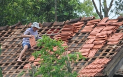 Bão số 4: Hàng trăm ha lúa, cao su bị ngập, gãy đổ