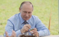 Tổng thống Nga Vladimir Putin và lối sống lành mạnh