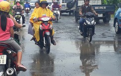 Đồng Tháp: Xuất hiện dày đặc “ổ voi”, “ổ gà” trên QL30