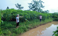 Nguyên nhân bé trai 10 tuổi tử vong dưới rãnh nước ở Hà Nội