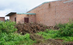 Nhà 5 không ở Gia Lai có thể bị thu hồi?