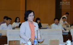 Dự luật hành chính công của một ĐBQH không khả thi