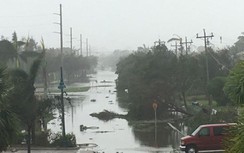 Bão Irma tấn công, ông Trump ban bố tình trạng khẩn cấp ở Florida