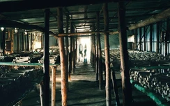 Những điểm ‘du lịch đen’ ám ảnh với du khách